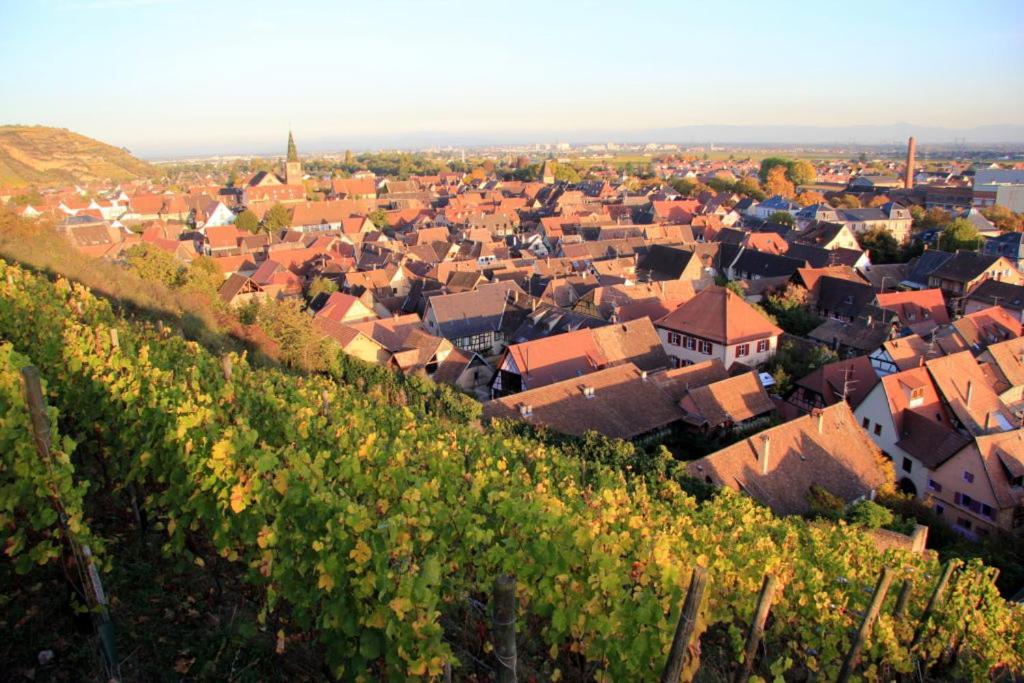 Le 6 : Maison Individuelle Au Coeur De L'alsace * Turckheim
